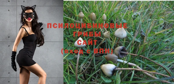 ALPHA PVP Абинск