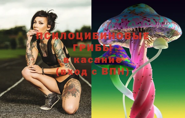 ГАЛЛЮЦИНОГЕННЫЕ ГРИБЫ Абаза