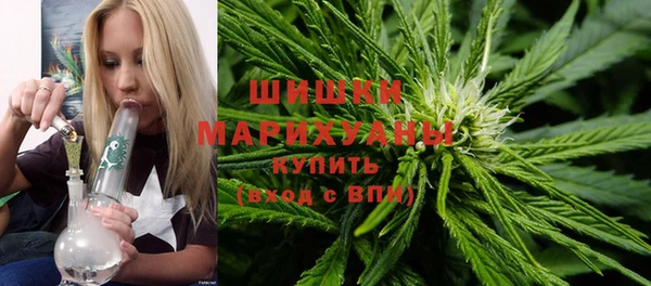 ГАЛЛЮЦИНОГЕННЫЕ ГРИБЫ Абаза