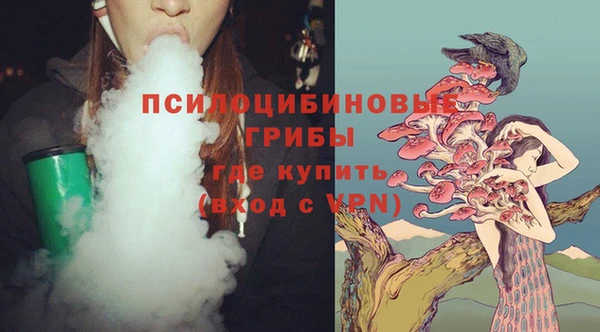 ГАЛЛЮЦИНОГЕННЫЕ ГРИБЫ Абаза