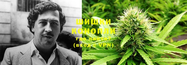 ГАЛЛЮЦИНОГЕННЫЕ ГРИБЫ Абаза